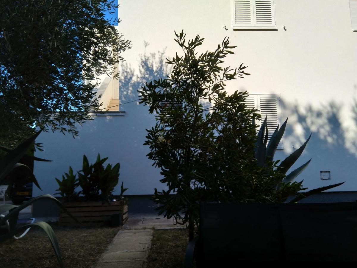Apartment Edina Pag باغ المظهر الخارجي الصورة